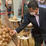 Sinesio Campos comemora aprovacao de Projeto de Lei que incentiva a cadeia produtiva do babacu no Amazonas Foto Caio Rodrigues dpZIiL