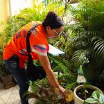 Dezembro 26 Informe Arboviroses 1