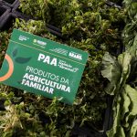 Mais de 24 mil pessoas sao beneficiadas com alimentos da agricultura familiar entregues pelo Governo do Amazonas Foto Alex Pazuello Secom 2