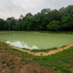 Remissao de debitos do Governo do Amazonas 3 TANQUE DE ALEVINO MAURO NETO SECOM