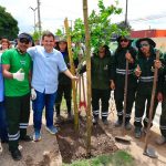 Manaus Verde 5