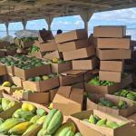 Foto Divulgacao Seprpr Compra de Alimentos via PAA em Manacapuru 3 1024x576 1