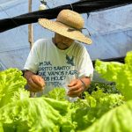 Idam Requisitos para acessar beneficios como agricultor familiar Fotos divulgacao 2 1024x768 1