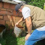 SEMSA MANAUS Informe Arvobiroses 1