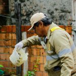 casos de dengue