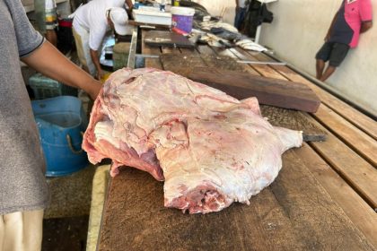 Carne de capivara Foto 4 17 07 2025 1024x768 1