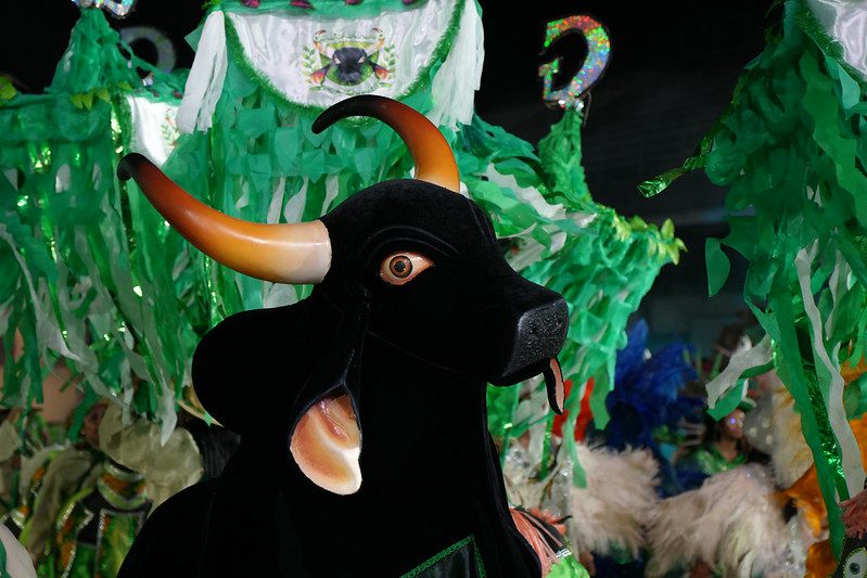 Batalha dos bois-bumbás marca a última noite do 67º Festival Folclórico do Amazonas Portal Informe Digital Cultura FFAM boi bumba Garanhao foto Aguilar Abecassis Secretaria de Estado de Cultura e Economia Criativa 8