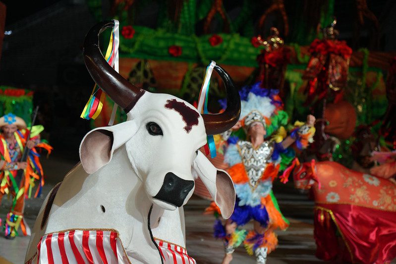Batalha dos bois-bumbás marca a última noite do 67º Festival Folclórico do Amazonas Portal Informe Digital Cultura FFAM boi bumba Corrre Campo foto Aguilar Abecassis Secretaria de Estado de Cultura e Economia Criativa 11