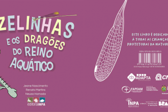 Fapeam livro infantil As donzelinhas e os dragoes do reino aquatico Ilustracao Ana Paula Brito 1024x426 1