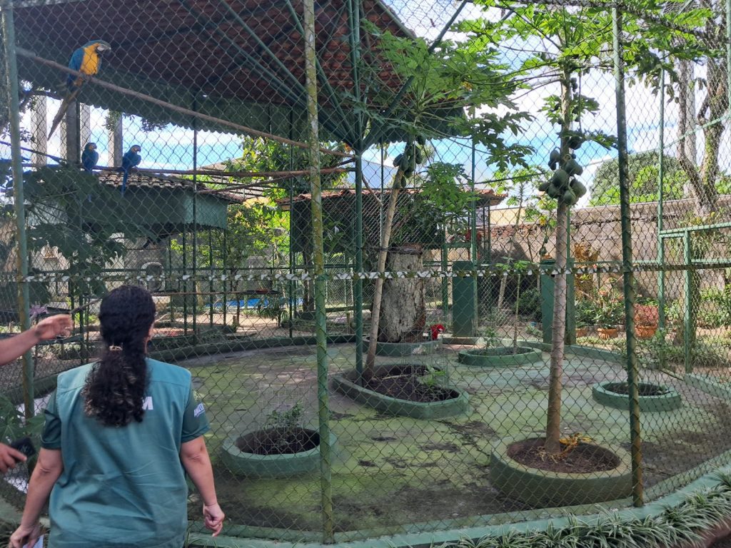Mantenedouros de fauna: Ipaam explica como funciona e quais são as regras Portal Informe Digital Fiscal do Ipaam visitando mantenedouro Foto 1 Arquivo Ipaam 23 07 2025 1024x768 1