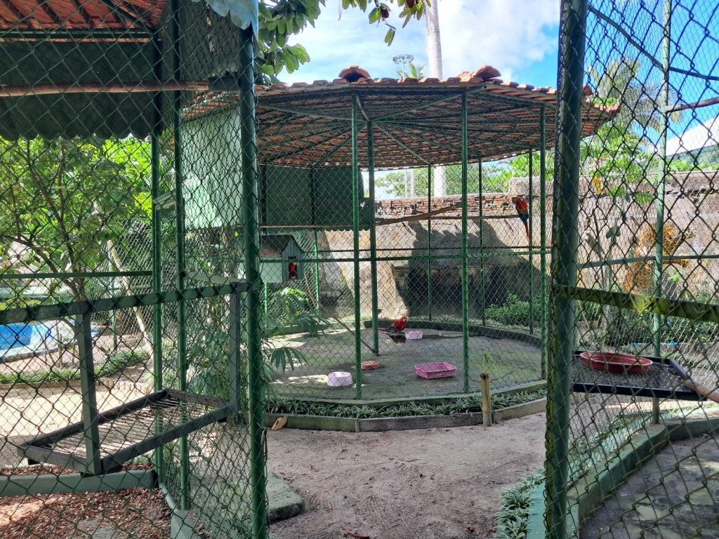 Mantenedouros de fauna: Ipaam explica como funciona e quais são as regras Portal Informe Digital Mantenedouro Foto 2 Arquivo Ipaam 23 07 2025 1024x768 1