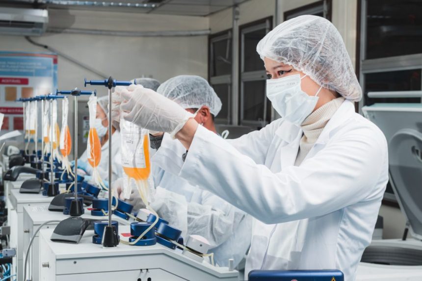 Producao de plasma Hemoam 1024x682 1